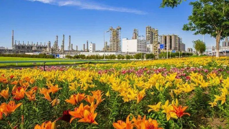 化工产品第三方检测：标准规范，确保安全与品质